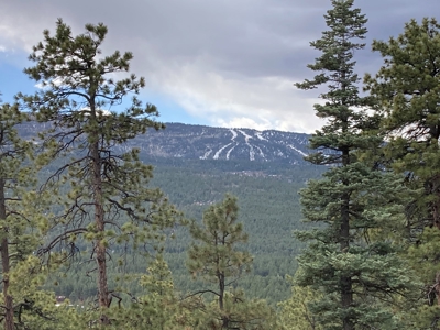 Charming Off-Grid One-Bedroom Cabin Near Chama NM - image 37