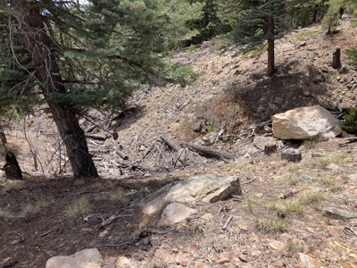 Charming Off-Grid One-Bedroom Cabin Near Chama NM - image 26