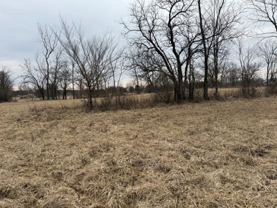 Building Lot With Acreage For Sale in Centerburg, OH - image 3