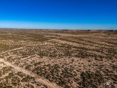 300 Acres in Ozona TX with Home For Sale - image 24