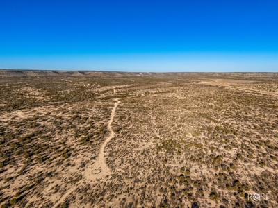 300 Acres in Ozona TX with Home For Sale - image 8