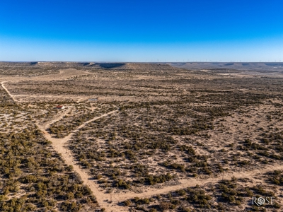 300 Acres in Ozona TX with Home For Sale - image 22
