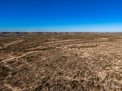 300 Acres in Ozona TX with Home For Sale - image 10