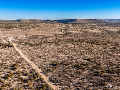 300 Acres in Ozona TX with Home For Sale - image 19