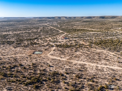 300 Acres in Ozona TX with Home For Sale - image 13