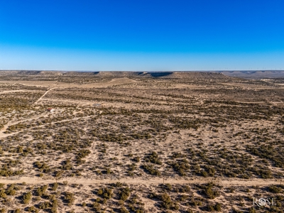 300 Acres in Ozona TX with Home For Sale - image 23