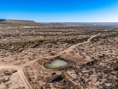 300 Acres in Ozona TX with Home For Sale - image 34