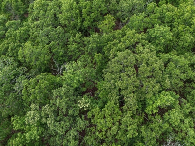 Chautauqua County, Kansas 315.56 Acres - image 28