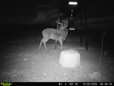 Chautauqua County, Kansas 315.56± Acres - image 49
