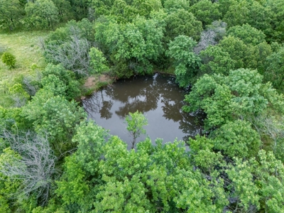 Chautauqua County, Kansas 315.56 Acres - image 23
