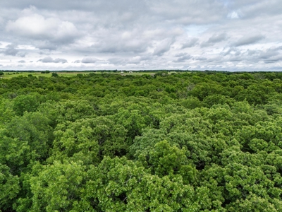 Chautauqua County, Kansas 315.56 Acres - image 27