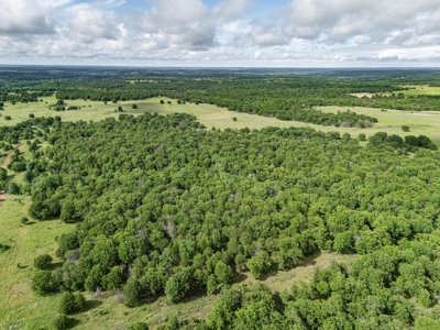 Chautauqua County, Kansas 315.56 Acres - image 31