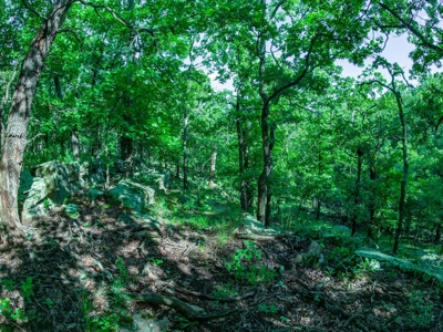 Chautauqua County, Kansas 315.56 Acres - image 50