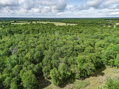 Chautauqua County, Kansas 315.56 Acres - image 34