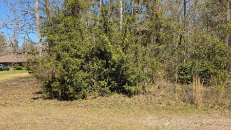 Acreage For Sale In Union County, Florida, Lake Butler - image 2