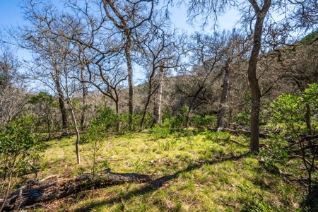 HIDDEN SPRINGS RANCH  676ac in Concan, Texas - image 33