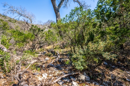 HIDDEN SPRINGS RANCH  676ac in Concan, Texas - image 17