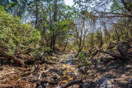 HIDDEN SPRINGS RANCH  676ac in Concan, Texas - image 28