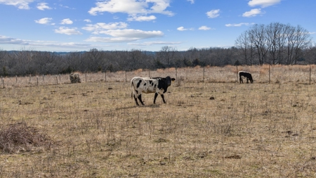 Ranch For Sale in Oklahoma - image 45