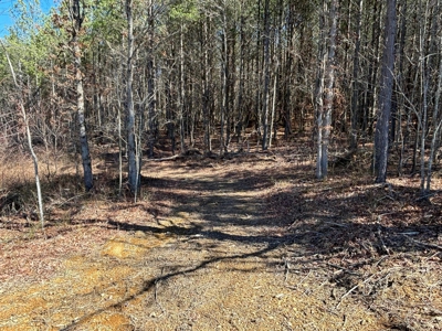 Land For Sale in Dunlap, TN! - image 26