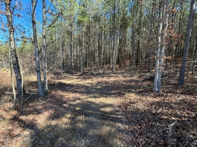 Land For Sale in Dunlap, TN! - image 28