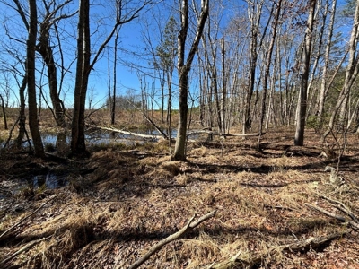 Land For Sale in Dunlap, TN! - image 25