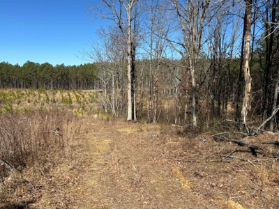 Land For Sale in Dunlap, TN! - image 24