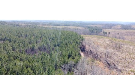 Land For Sale in Dunlap, TN! - image 6
