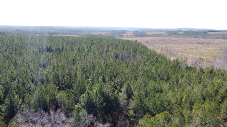 Land For Sale in Dunlap, TN! - image 3