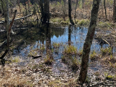 Land For Sale in Dunlap, TN! - image 21