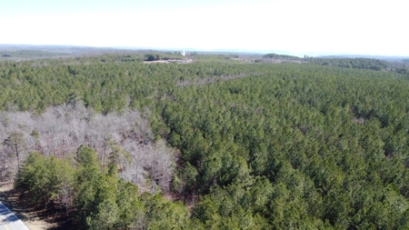 Land For Sale in Dunlap, TN! - image 5