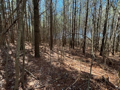 Land For Sale in Dunlap, TN! - image 15