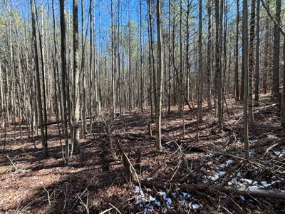 Land For Sale in Dunlap, TN! - image 17
