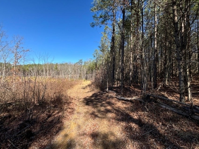 Land For Sale in Dunlap, TN! - image 12