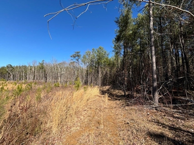 Land For Sale in Dunlap, TN! - image 23