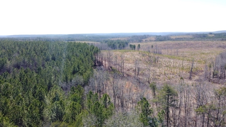 Land For Sale in Dunlap, TN! - image 7