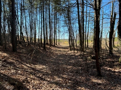Land For Sale in Dunlap, TN! - image 1