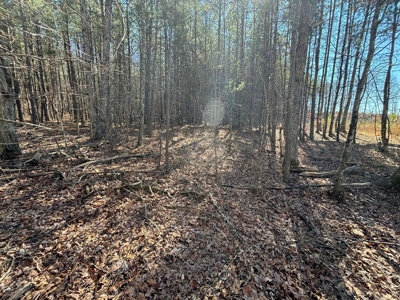 Land For Sale in Dunlap, TN! - image 19