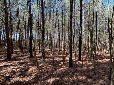 Land For Sale in Dunlap, TN! - image 13