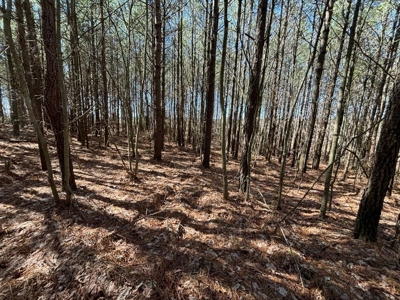 Land For Sale in Dunlap, TN! - image 14