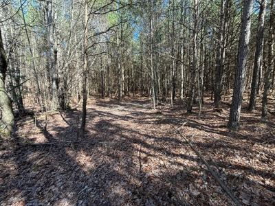 Land For Sale in Dunlap, TN! - image 20