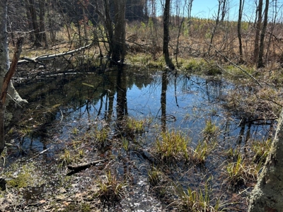 Land For Sale in Dunlap, TN! - image 22