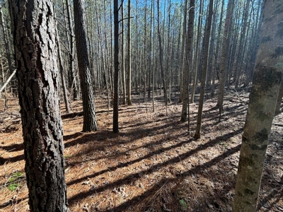 Land For Sale in Dunlap, TN! - image 18