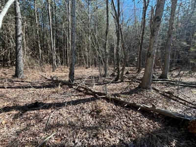 Land For Sale in Dunlap, TN! - image 27