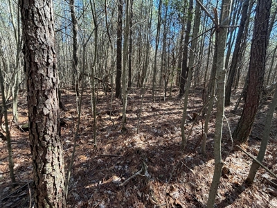 Land For Sale in Dunlap, TN! - image 16