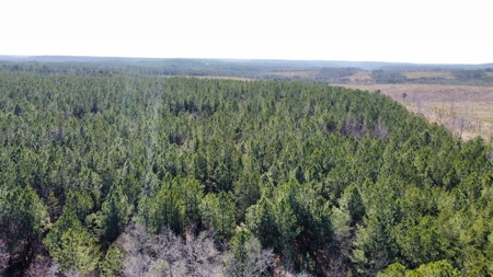 Land For Sale in Sequatchie County! - image 4