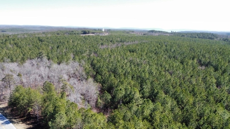 Land For Sale in Sequatchie County! - image 6
