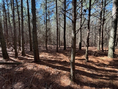 Land For Sale in Sequatchie County! - image 1
