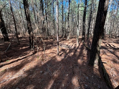 Land For Sale in Sequatchie County! - image 16