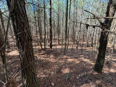 Land For Sale in Sequatchie County! - image 17